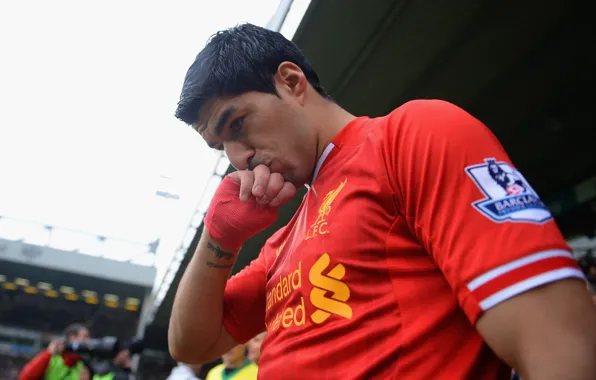 Спорт, Футбол, Football, Ливерпуль, Sport, Луис Суарес, Liverpool Football Club, Luis Alberto Suárez Díaz