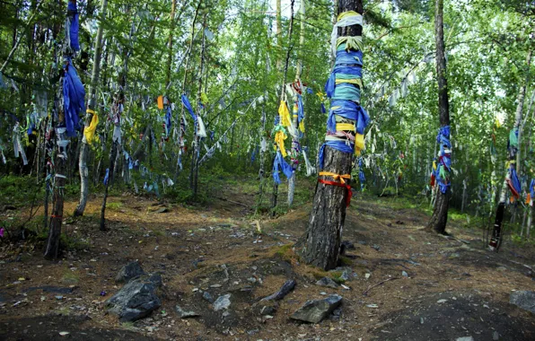 Лето, природа, байкал, бурхан