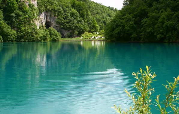 Зелень, вода, пейзаж, природа, озеро