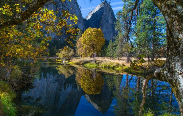Картинка осень, лес, деревья, горы, река, Калифорния, США, Yosemite National Park