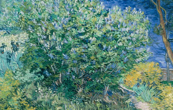 Картинка пейзаж, картина, Vincent Willem van Gogh, Винсент ван Гог, Куст Сирени