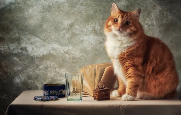 Картинка кошка, кот, взгляд, морда, стакан, поза, стол, серый