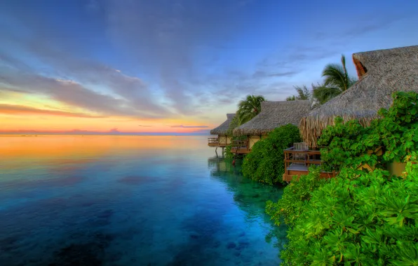 Пейзаж, природа, остров