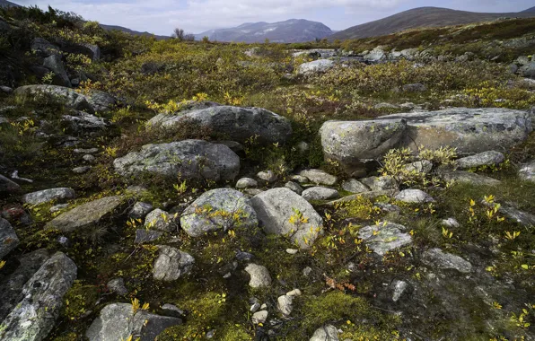 Картинка Норвегия, Norway, Dovre