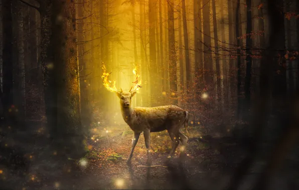 Картинка лес, деревья, ночь, огонь, олень, огоньки, фэнтези, рога