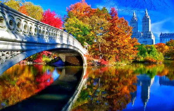 Картинка осень, небо, листья, деревья, пейзаж, мост, Нью-Йорк, США