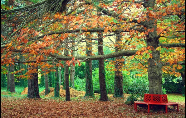 Картинка осень, скамейка, парк