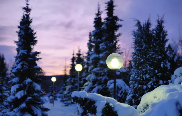 Картинка зима, свет, снег, природа, вечер, фонари
