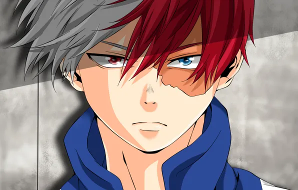 Взгляд, парень, Boku No Hero Academia, Тодороки Шото, Моя геройская акадеимя