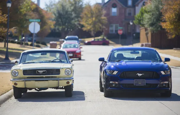 Дорога, улица, Ford, mustang