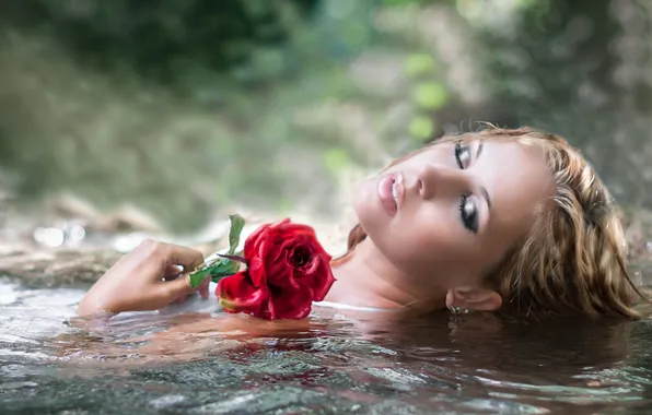Картинка вода, девушка, роза