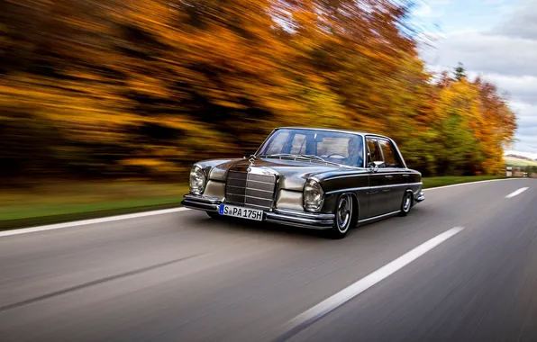 Car, Mercedes, W108