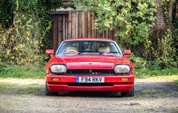 Картинка Красный, Вид спереди, Классический автомобиль, Jaguar XJR-S