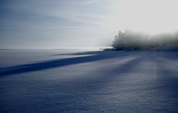 Зима, поле, туман