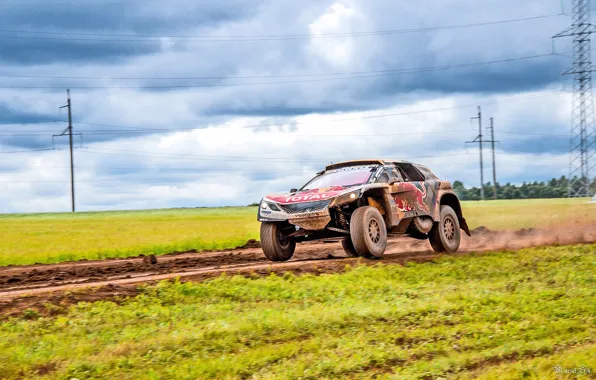 Спорт, Скорость, Гонка, Грязь, Peugeot, Фары, Red Bull, Rally