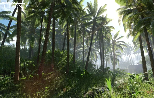 Природа, пальмы, растительность, Star Wars Battlefront, Scarif Vegetation