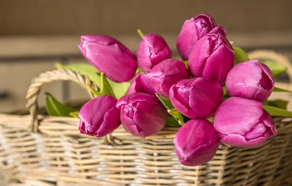 Картинка цветы, корзинка, тюльпаны, розовые, бутоны