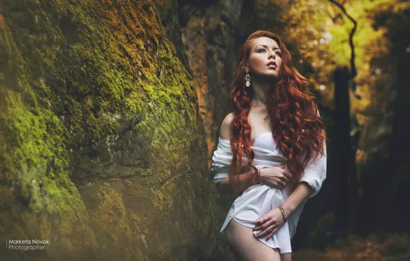 Nature, Rock, Redheads, Woman, Forest, Ines Kulenovic