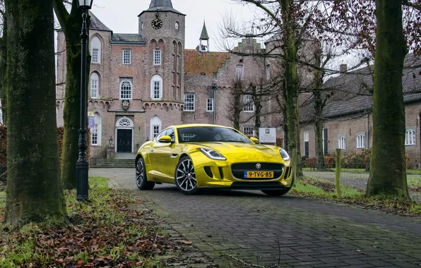 Gold, jaguar, coupe, castle, f-type