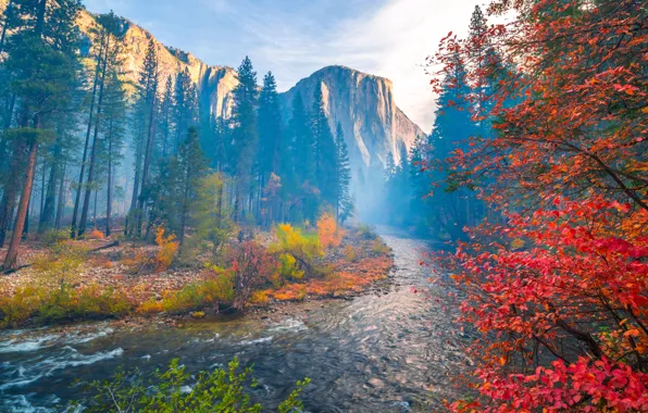 Картинка осень, деревья, горы, река, Калифорния, California, Yosemite Valley, Национальный парк Йосемити