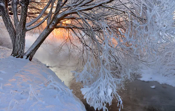 Картинка зима, деревья, пейзаж, закат, горы, природа, река, Снежное