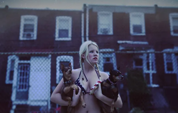 Девушка, ночь, собака