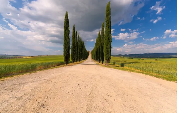 Картинка дорога, лето, небо