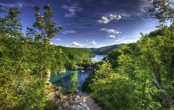Картинка лес, деревья, панорама, Хорватия, озёра, Croatia, Плитвицкие озёра, Plitvice Lakes National Park