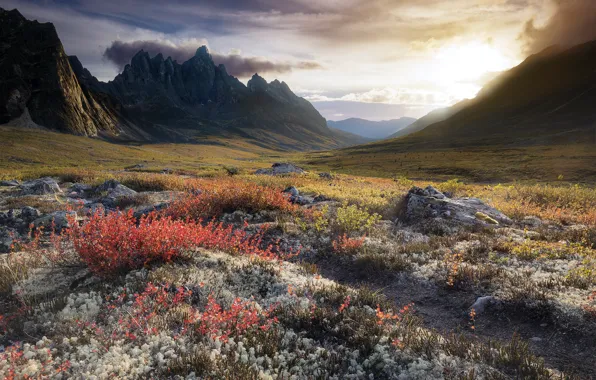 Canada, Yukon, Tombstone Territorial Park, North Klondike Valley