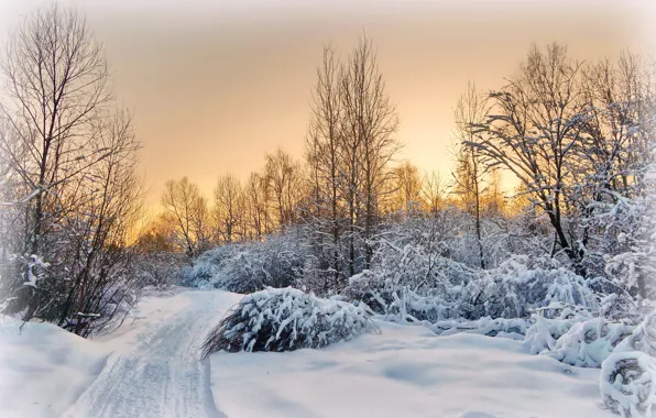 Картинка зима, дорога, снег, пейзаж, закат, вечер, деревня, подмосковье