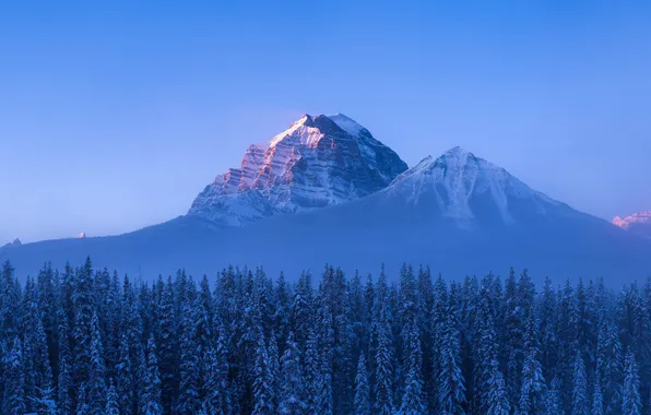 Снег, Зима, Канада, Альберта, Alberta, Canada, Winter, Snow