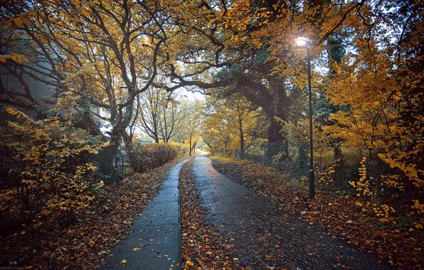 Картинка Тропинка, Настроение, Осень, lantern, leaves, Mood, Roads, Деревья