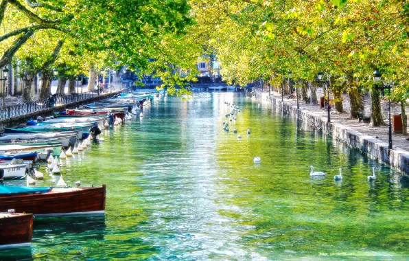 Лодки, канал, лебеди, France, Annecy