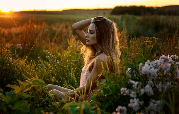 Поле, лето, трава, девушка, закат, наслаждение, милая, модель
