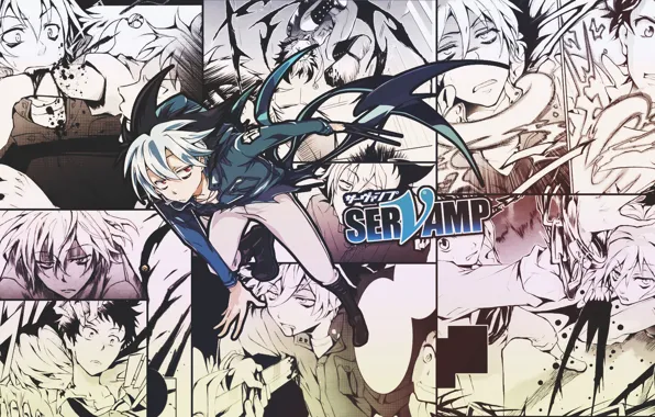 Вампир, манга, Куро, Servamp, Слуга вампир