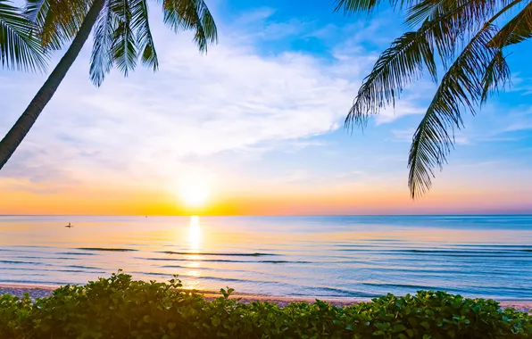 Песок, море, пляж, лето, небо, пальмы, summer, beach