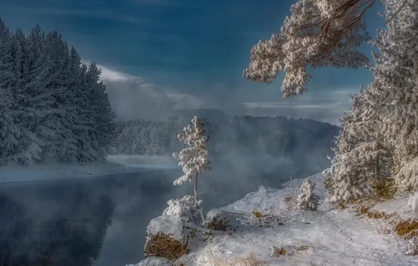 Зима, снег, деревья, река, мороз, Россия, Сибирь, Енисей