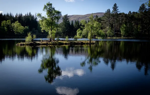Лес, деревья, озеро, отражение, Шотландия