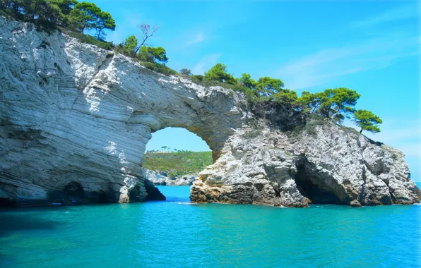 Скалы, растительность, красота, арка, rocks, beauty, seashore, vegetation