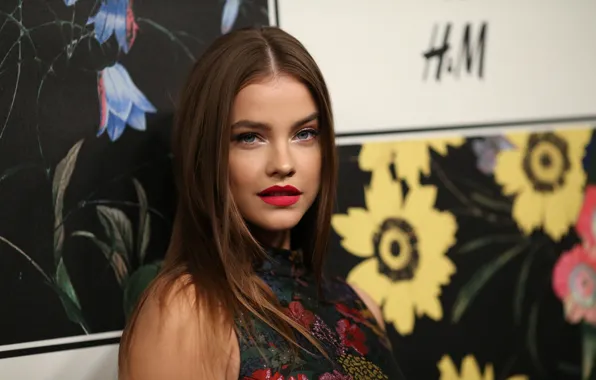 Взгляд, девушка, поза, модель, макияж, прическа, hair, Barbara Palvin