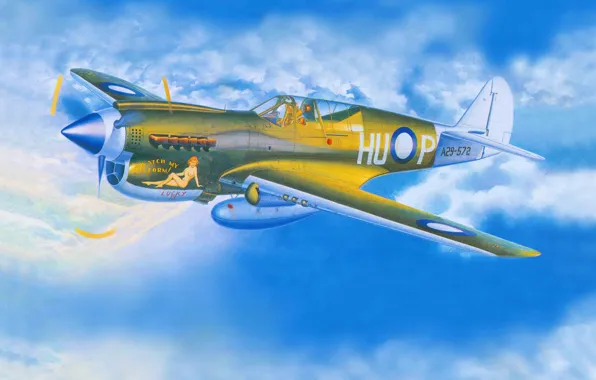 Самолет, истребитель, арт, американский, Curtiss, Tomahawk, P-40, Warhawk