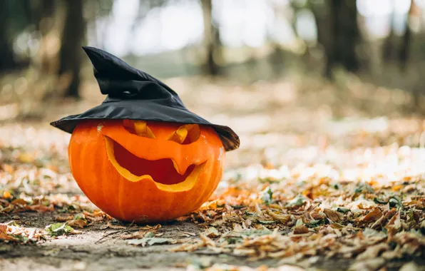 Осень, листья, улыбка, шляпа, Halloween, тыква, Хэллоуин, hat