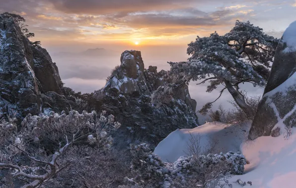 Картинка зима, снег, деревья, пейзаж, горы, природа, туман, скалы