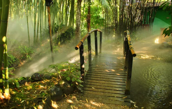 Картинка мост, природа, туман, парк, фото, бамбук, Италия, Lombardia