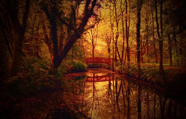 Осень, природа, парк, канал, мостик
