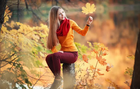 Картинка girl, forest, long hair, trees, photo, photographer, blue eyes, autumn