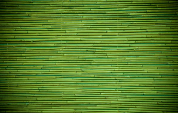 Картинка green, wood, pattern, bamboo