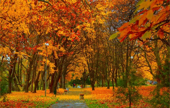 Картинка Осень, Деревья, Фонари, Парк, Fall, Park, Autumn, Colors