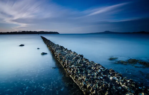 Море, ночь, мост