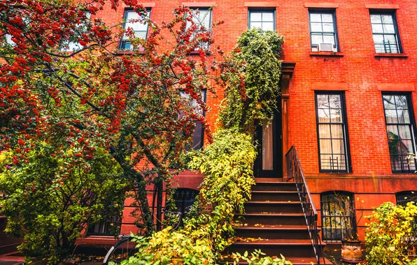 Картинка осень, велосипед, дерево, Нью-Йорк, Бруклин, тротуар, Соединенные Штаты, коричневого